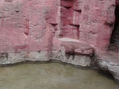 android_upload_pic-水磨沟公园