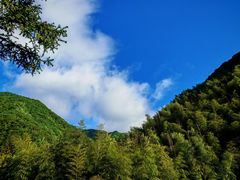 -东天目山风景区