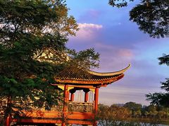 -顺峰山公园