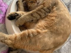 -赛百味SUBWAY(奥城店)