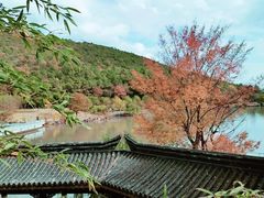 -孙武文化园-停车场