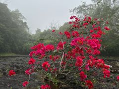 -海口火山口国家地质公园