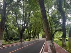 -棒棰岛宾馆景区