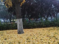 -方庄体育公园