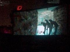 -枫花园汽车电影院(朝阳公园店)