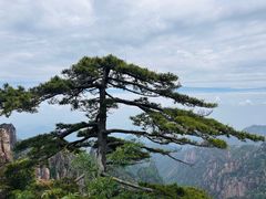 -黄山风景区