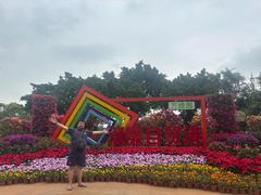 -万绿园