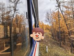 -莫尔道嘎国家森林公园