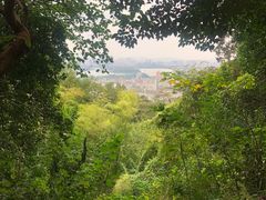 -紫金山山顶公园