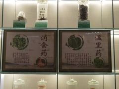 -广东中医药博物馆