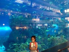 -成都浩海立方海洋公园