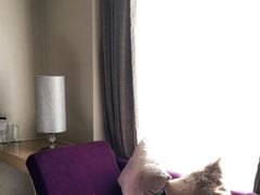 -青岛富力艾美酒店