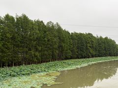 -嘉北郊野公园