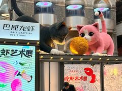 -巴厘龙虾·榜首油焖大虾(洞庭·艺术洋房店)