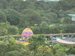-新加坡飞禽公园