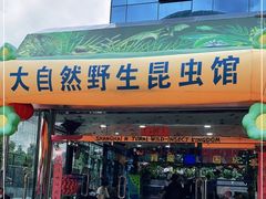-上海大自然野生昆虫馆(东方明珠·爬宠昆虫探索中心)
