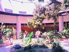 -陕西自然博物馆