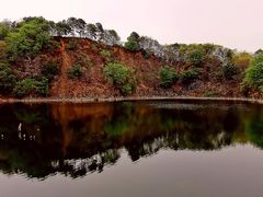 -王借岗森林公园