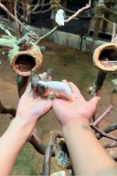 -Zoolung Zoolung动物主题公园(海信广场店)