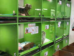 -唐小姐の猫狗洗护·购宠旗舰店(周浦万达店)
