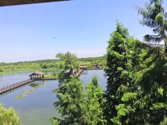 -溱湖国家湿地公园