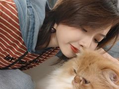 -More Fun猫咖 二十只万元加菲主题