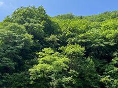-本溪汤沟绿石谷森林公园