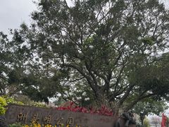 -洲头咀公园