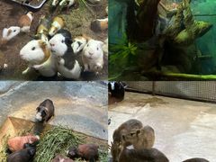 -福州罗源湾海洋世界旅游区