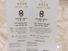 -影汇之星8字形摩天轮