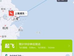 甜蜜元宝虾-上海金山滨海铂骊酒店-铂雅全日餐厅