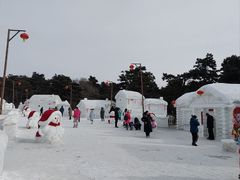 -长春市南湖公园