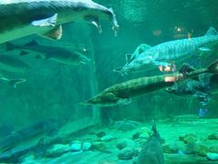 -华夏文旅海洋公园