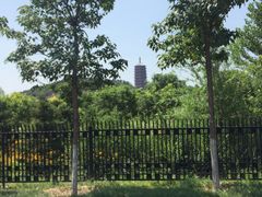 -永定河休闲森林公园