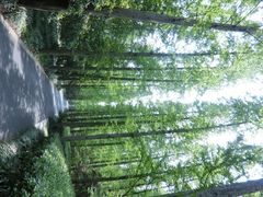 怡沁园度假村-上海怡沁园度假酒店