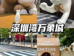 -深圳湾万象城