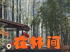 -林间山庄