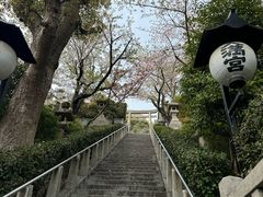 -神户六甲牧场(北野本店)