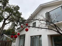 -柠檬花院烤肉·会议团建·聚会·求婚(三圣乡店)