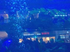 -成都浩海立方海洋公园