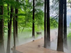 -东湖落雁景区