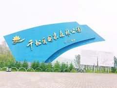 -张北坝上草原