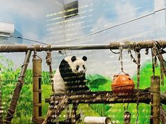-柳州市动物园