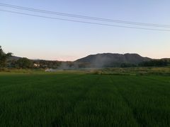 -池州市平天湖风景区