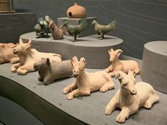 -广西壮族自治区博物馆