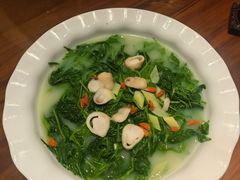 -山水茶艺馆·点心粤菜·30年老字号