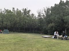 -长广溪湿地公园