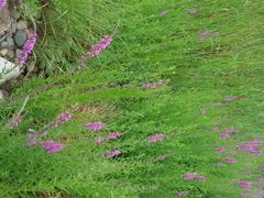 -济南国际园博园