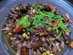 -鲜菌江湖正宗野生菌火锅