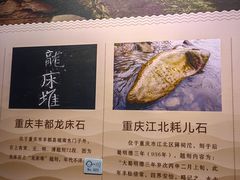 -白鹤梁水下博物馆
